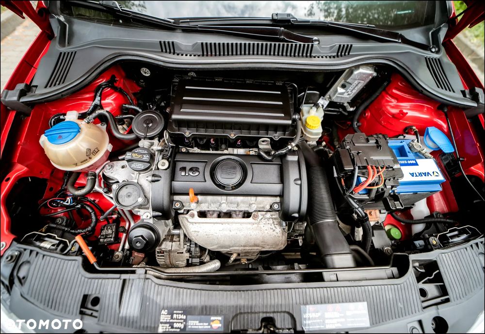 Seat Ibiza - 38
