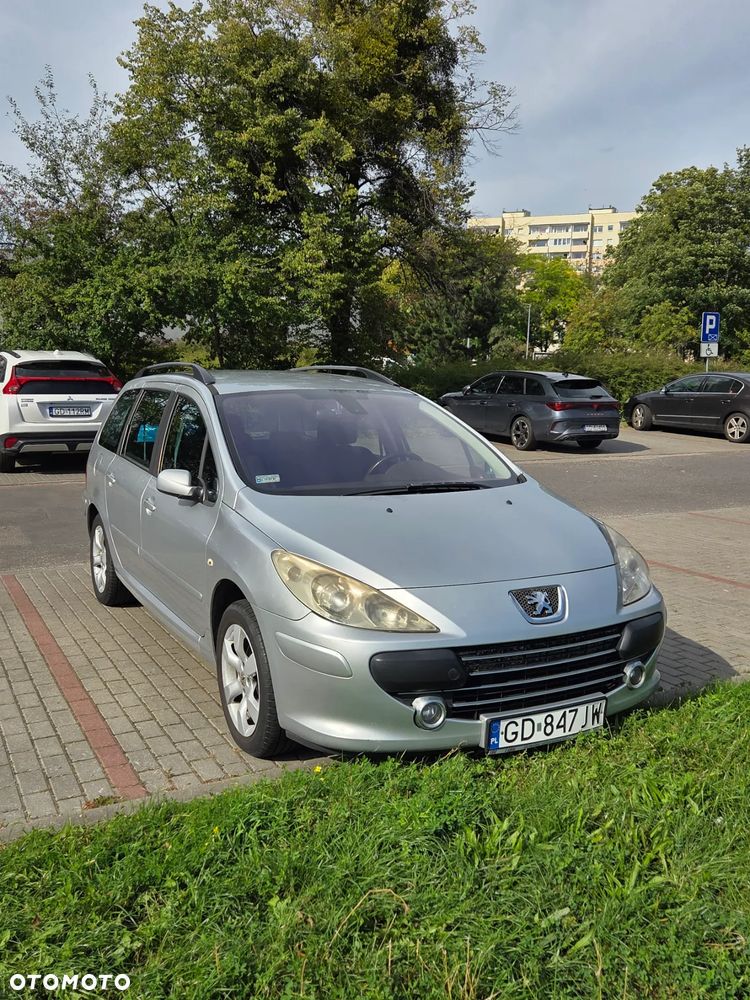 Peugeot 307 - 10