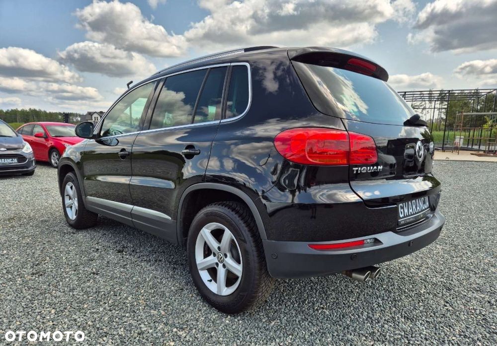 Volkswagen Tiguan - 31