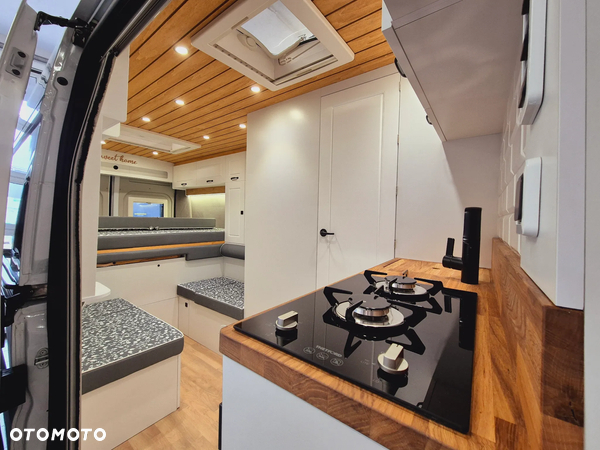 Affinity Freedo 636