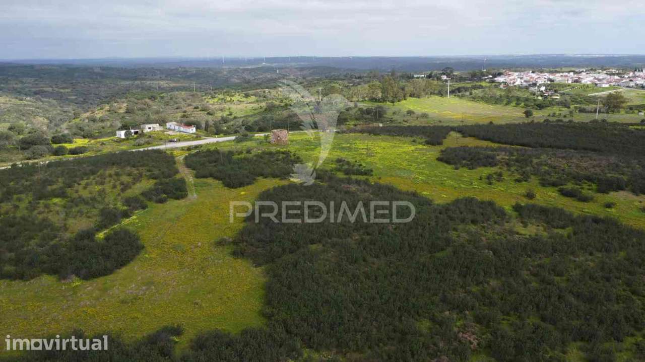 Terreno rústico com 7,3ha no Azinhal, pode construir 300m2 - Grande imagem: 5/33