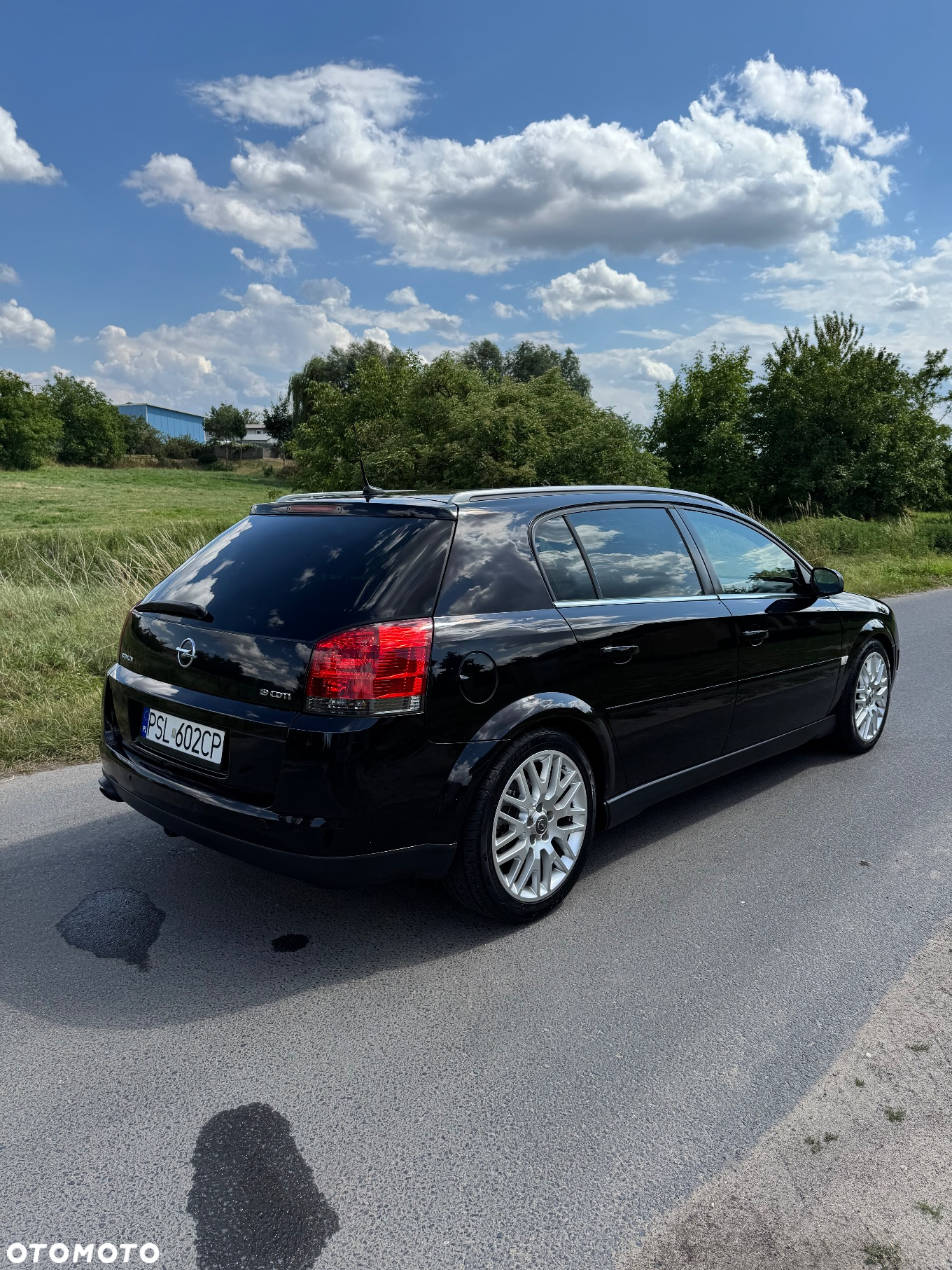 Opel Signum 1.9 CDTI Sport - 5