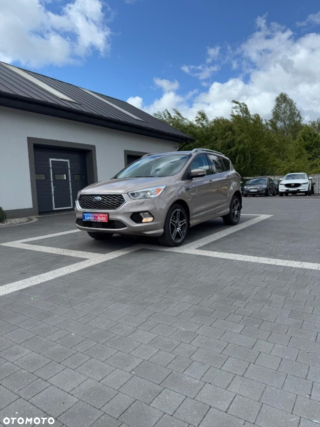Ford Kuga - 2