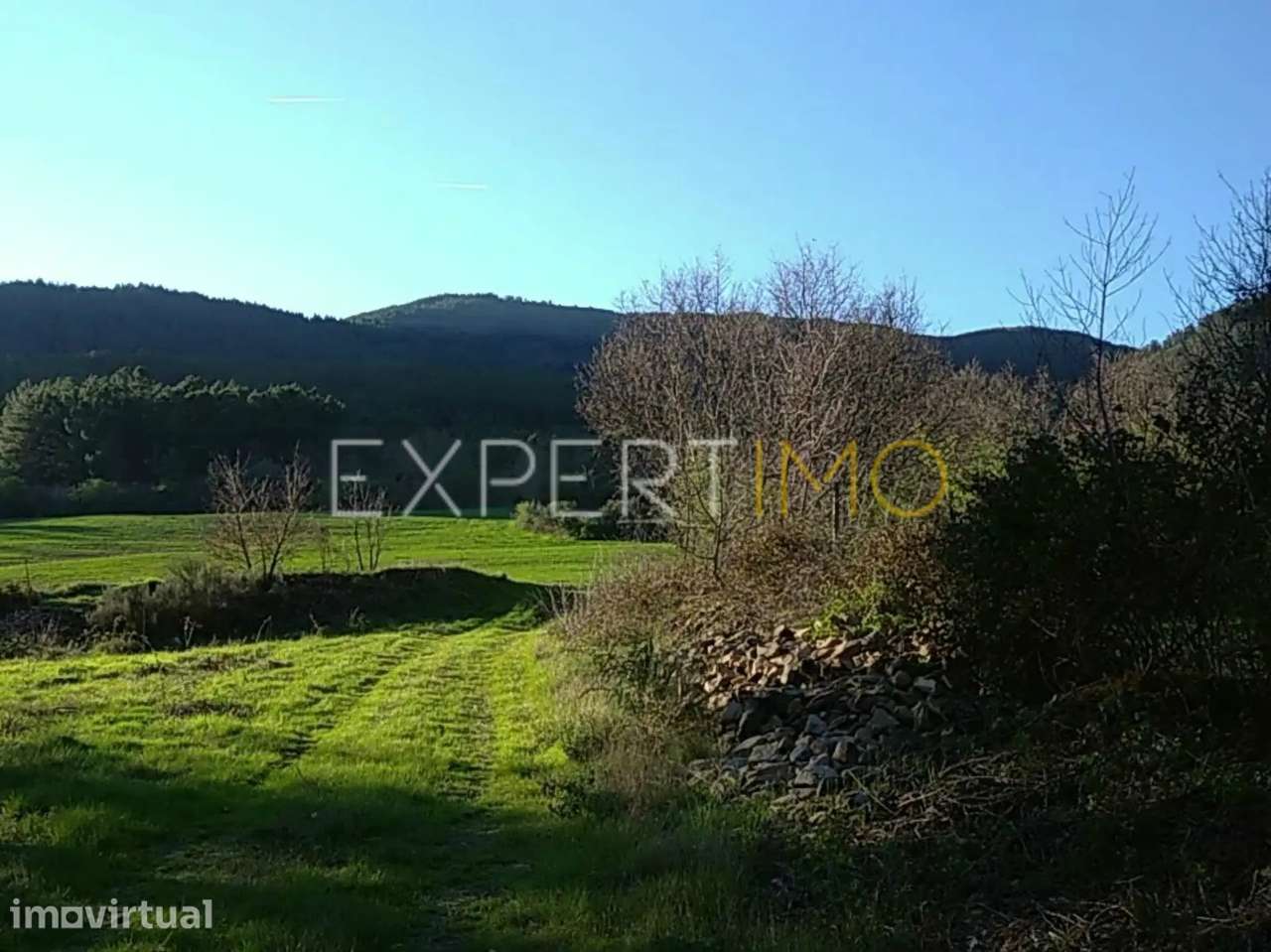 TERRENO AGRÍCOLA, plano, orografia regular, abundância de água e... - Grande imagem: 4/30