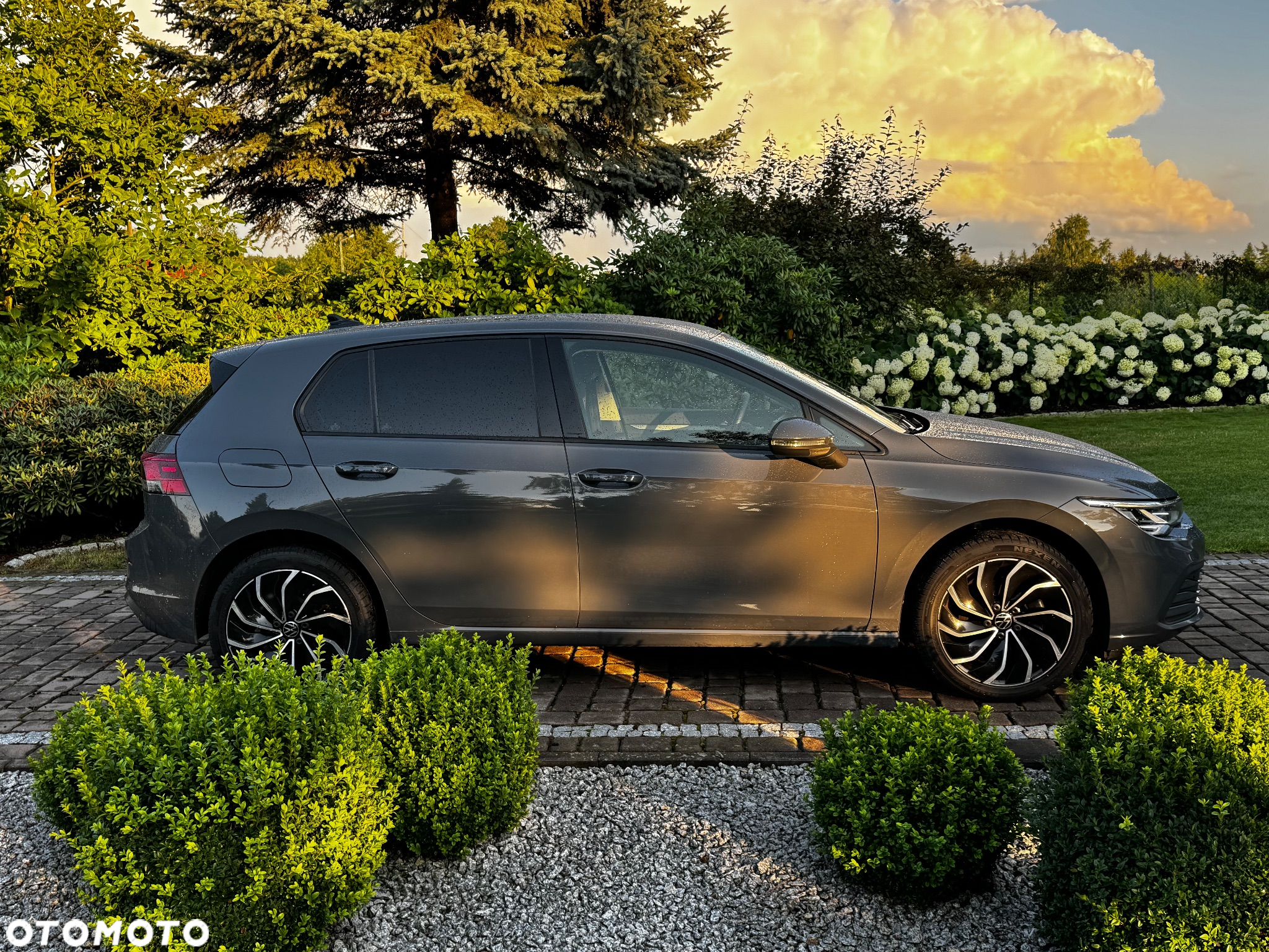 Volkswagen Golf VIII 1.0 TSI Life - 10