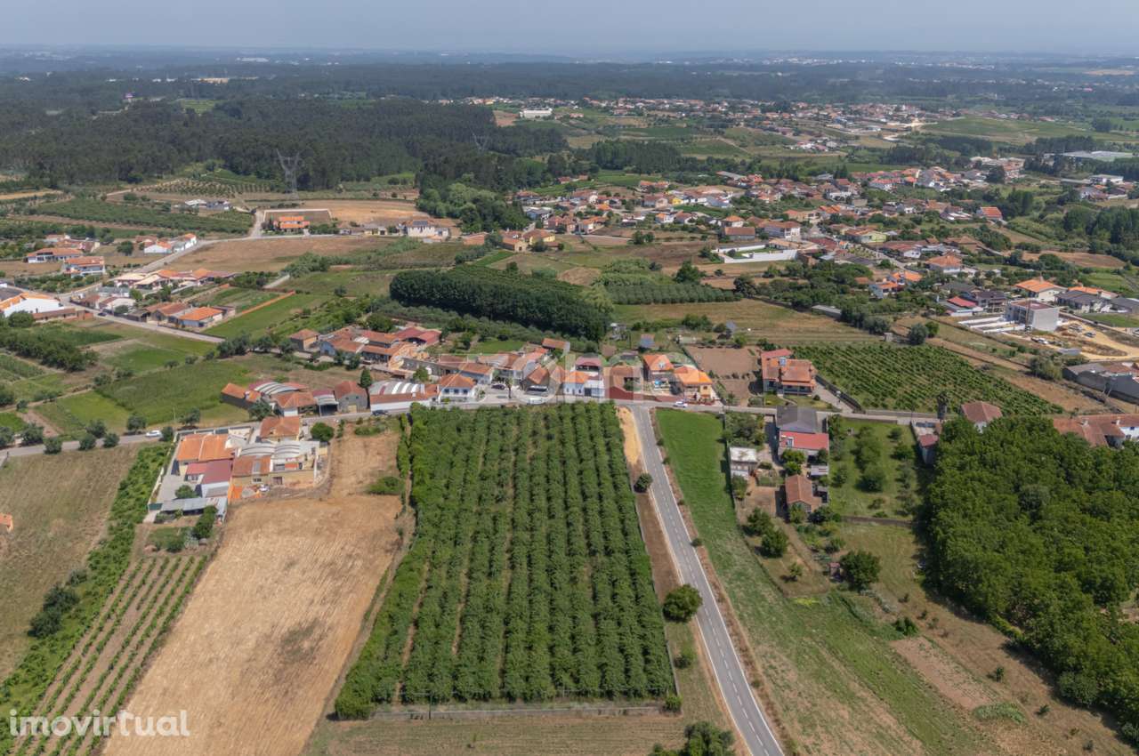 Terreno Terreno Urbanizável com Pomar Kiwis e Poço – Paredes do Bai... - Grande imagem: 4/22