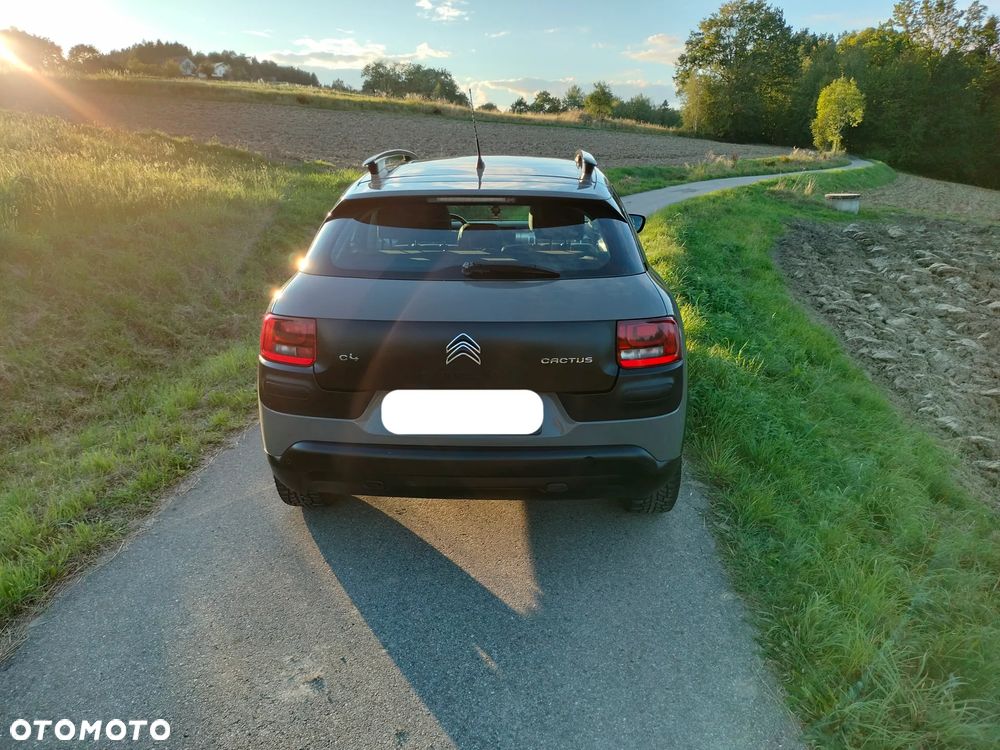Citroën C4 Cactus 1.2 PureTech Feel Elite - 13