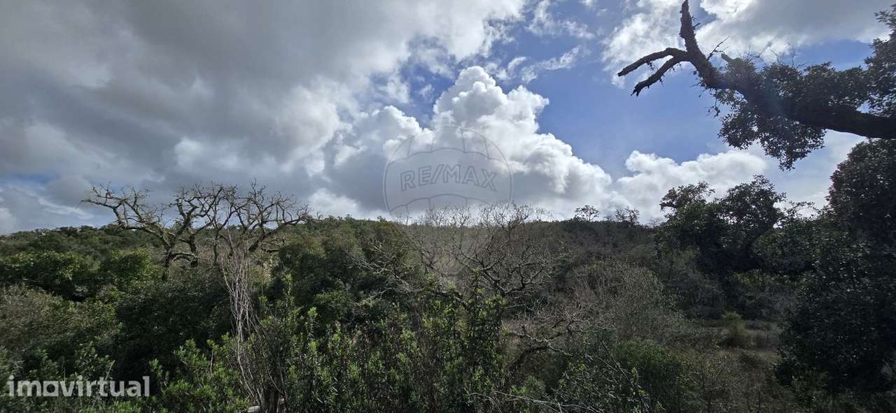 Terreno  para venda - Grande imagem: 4/38