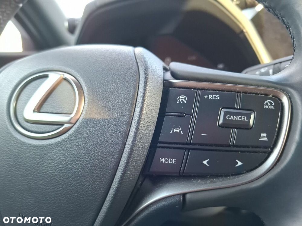 Lexus UX 300h F Sport Design AWD - 21