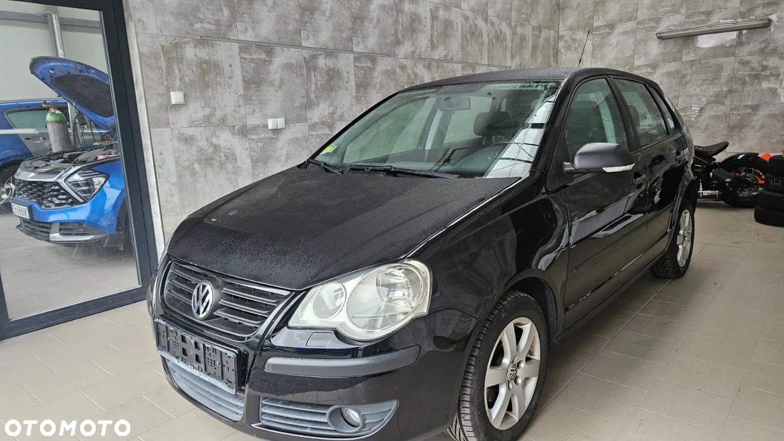 Volkswagen Polo - 1