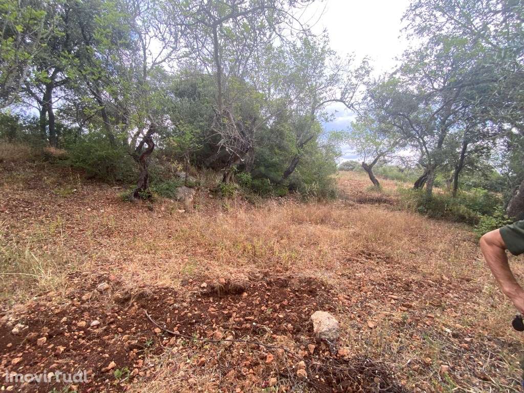 Lote de terreno rústico com a área total de 210m2, Salir, Algarve - Grande imagem: 4/14