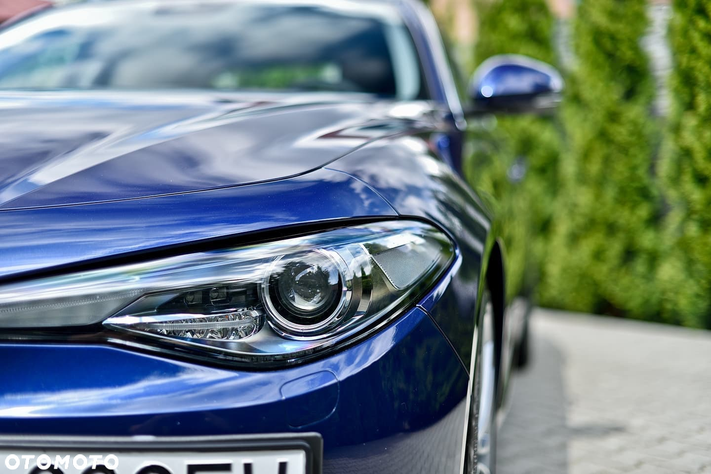 Alfa Romeo Giulia 2.0 Turbo Business - 5