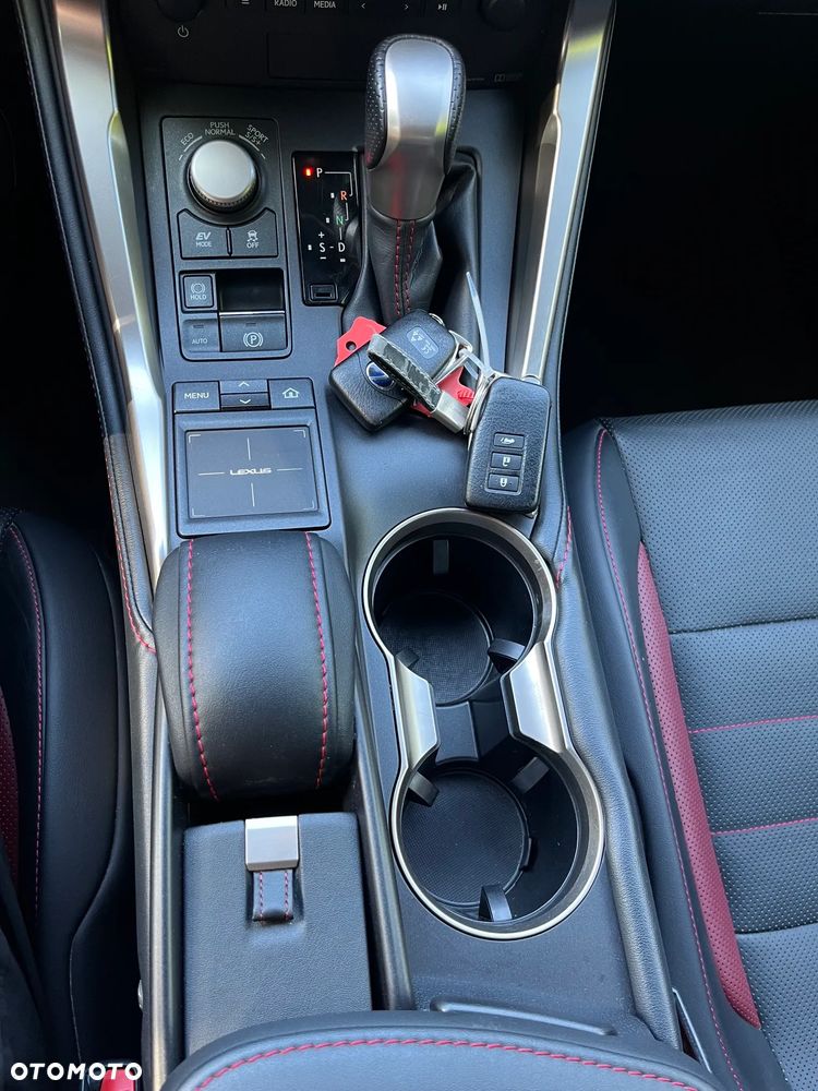 Lexus NX 300h E-FOUR F SPORT - 12