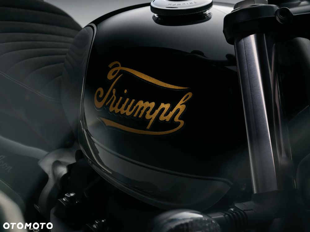 Triumph Scrambler - 4