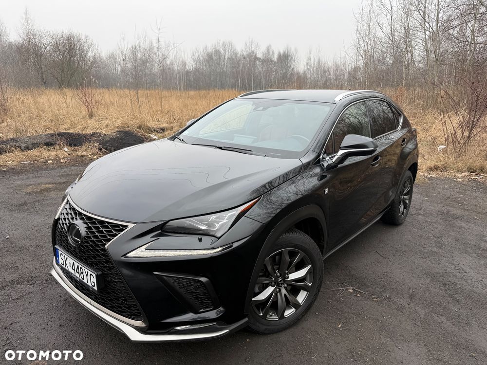 Lexus NX 2019