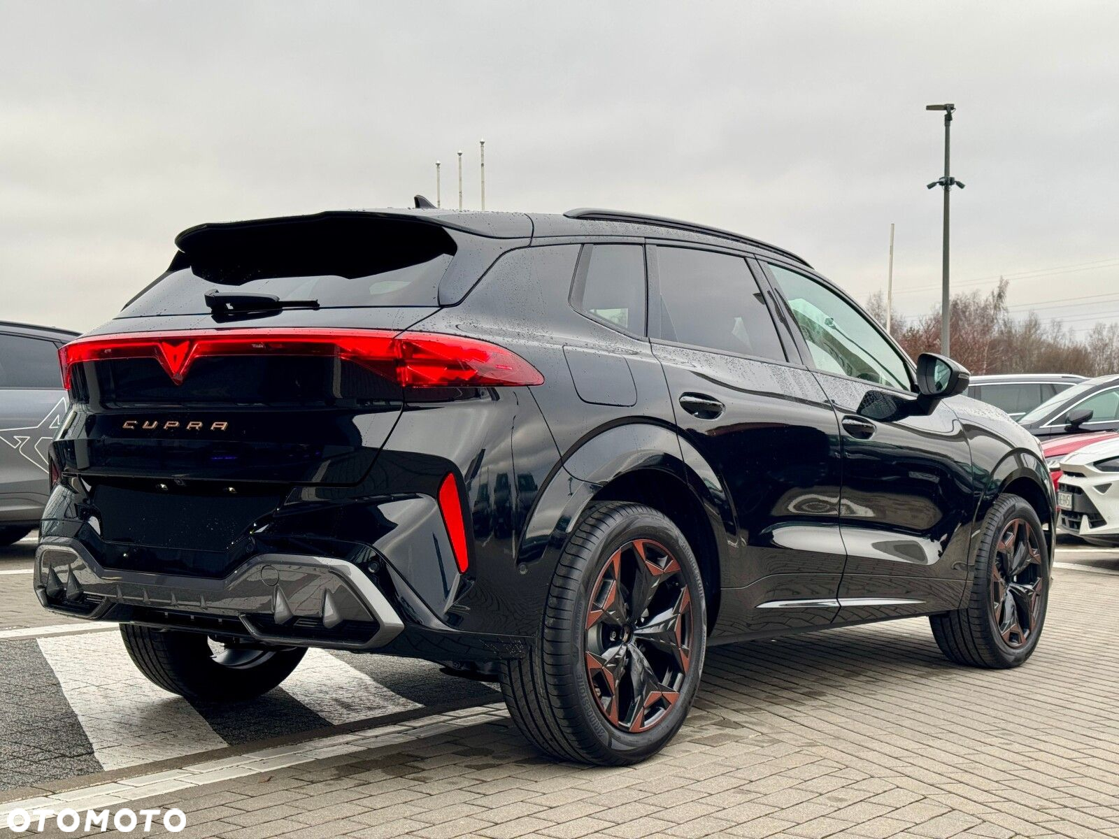 Cupra Terramar 2.0 TSI 4Drive DSG - 6