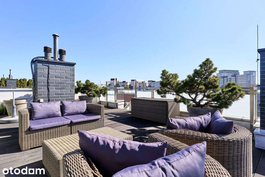 Apartament z tarasem na dachu przy parku Reaganna