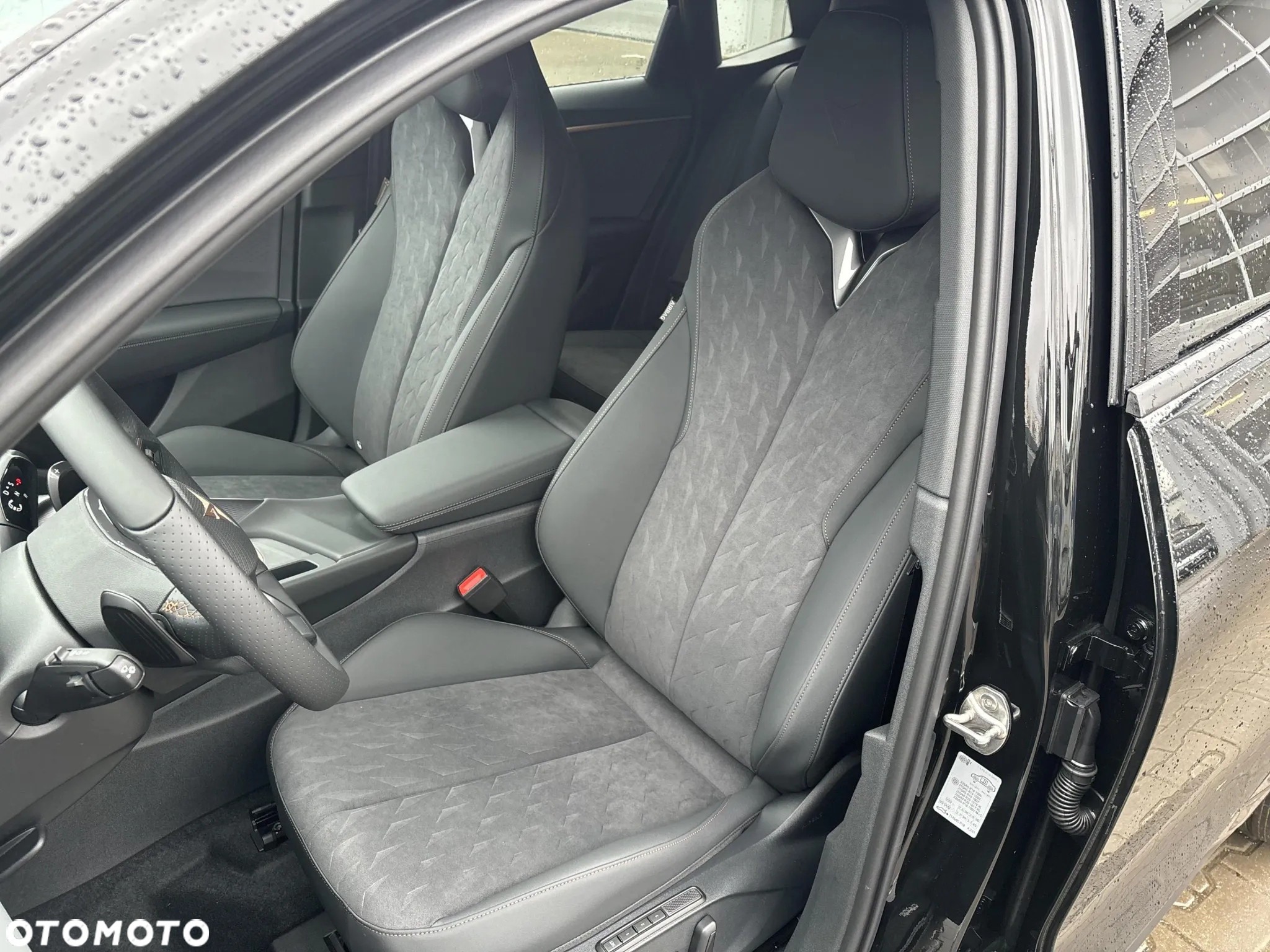 Cupra Terramar 2.0 TSI 4Drive DSG - 10