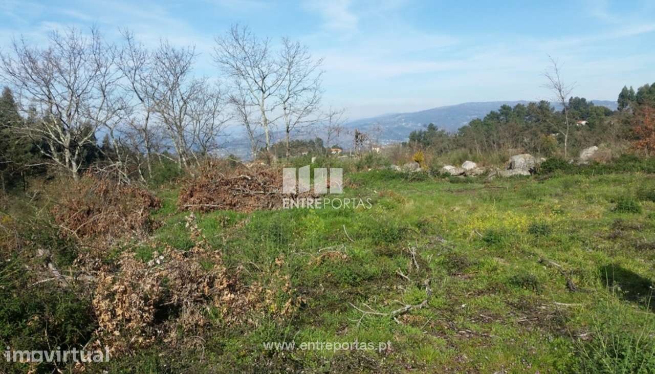 Venda Terreno, Vistas desafogadas, Manhuncelos, Marco de Canaveses - Grande imagem: 5/8