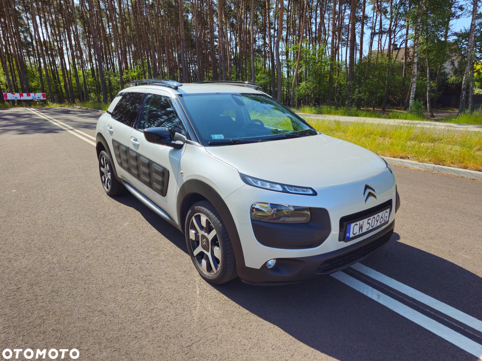 Citroën C4 Cactus 1.6 BlueHDi Shine - 13