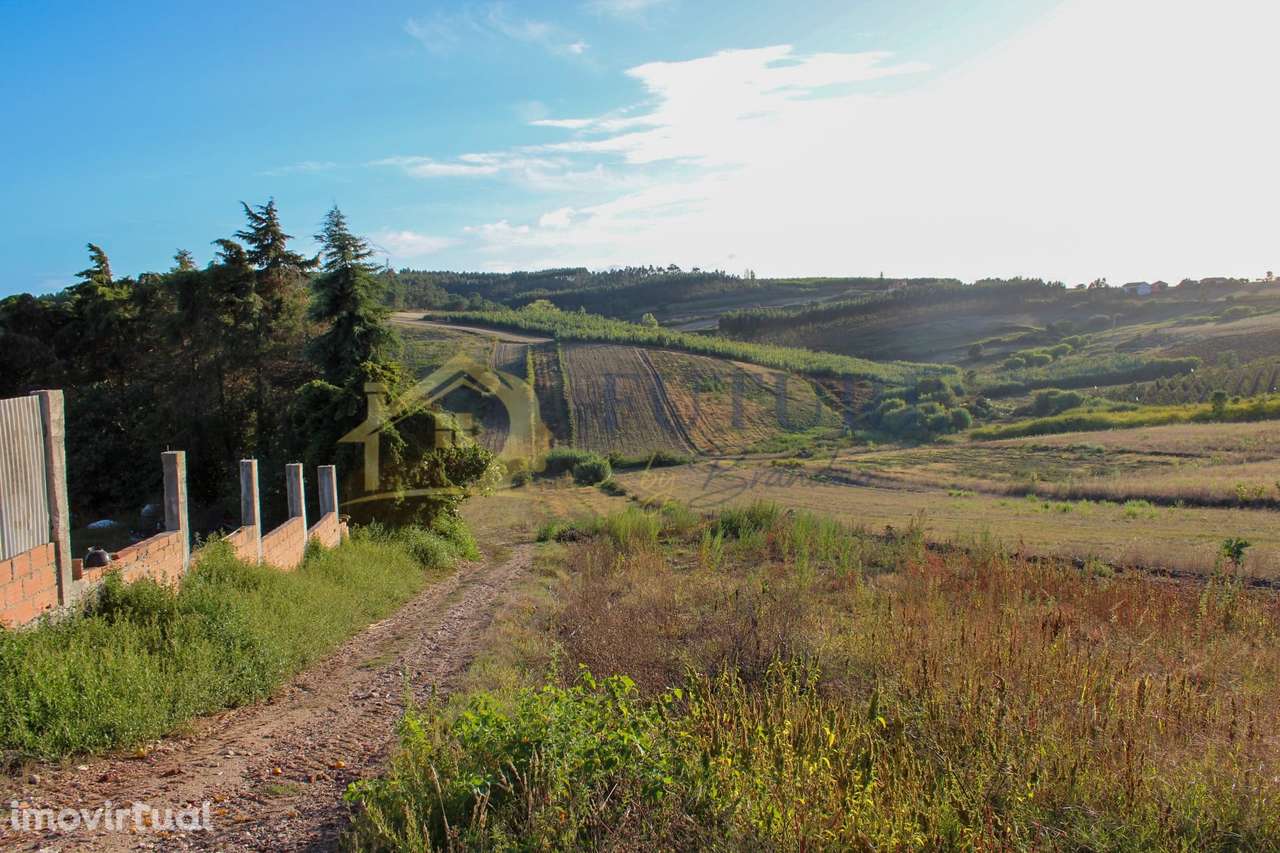 Terreno  Venda em Bombarral e Vale Covo,Bombarral - Grande imagem: 4/21