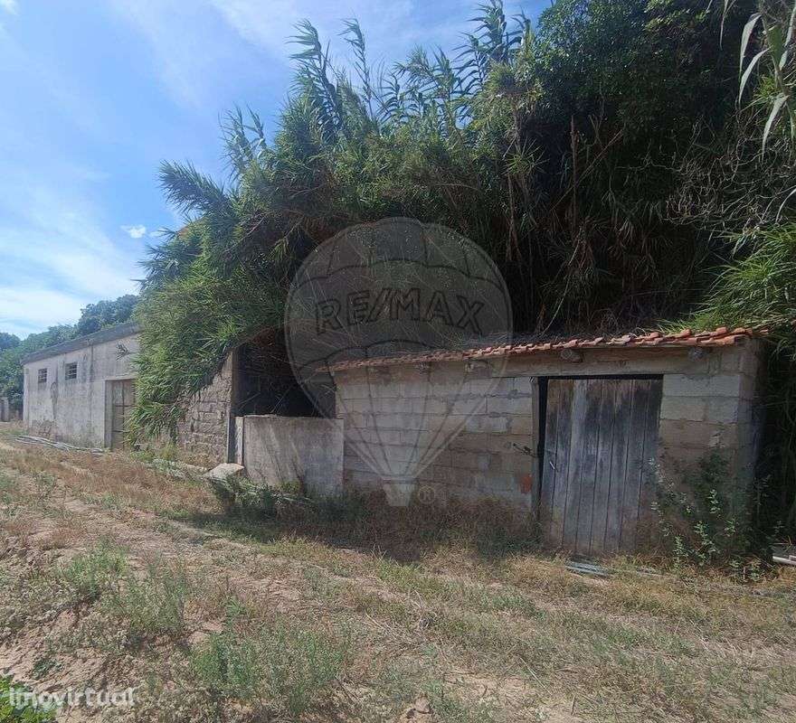 Arrecadação  para venda - Grande imagem: 4/5