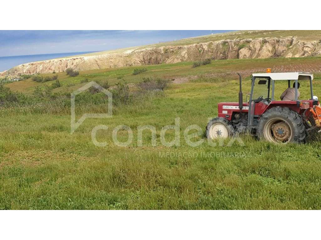 Terreno para venda em Porto Santo - Grande imagem: 2/35