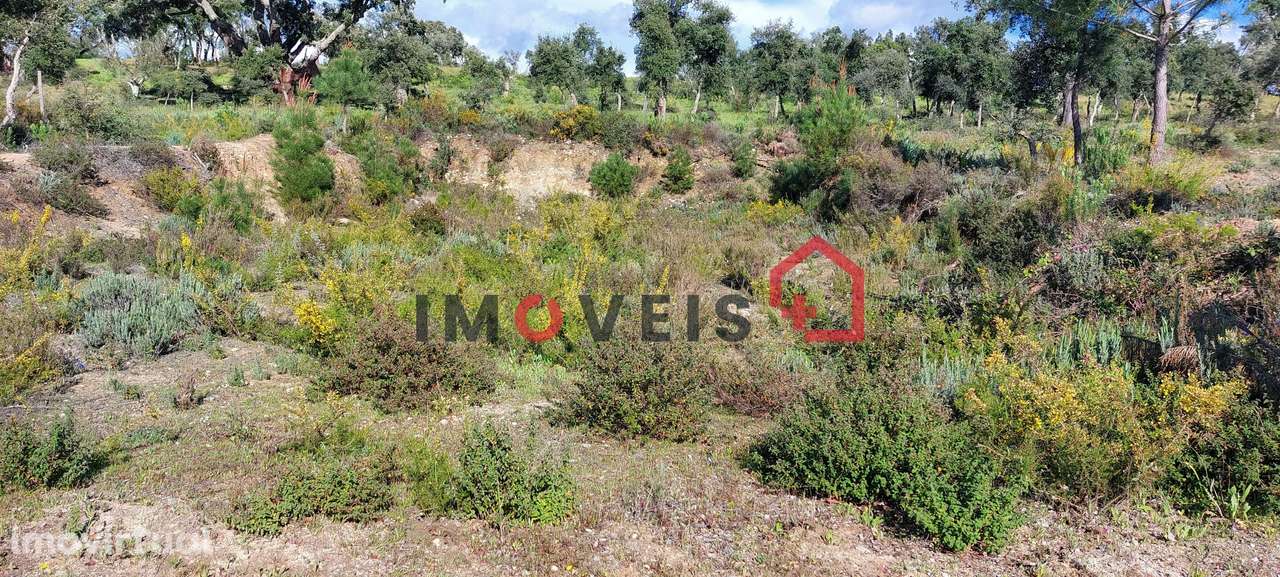 Lote terreno para construção - Grande imagem: 3/4