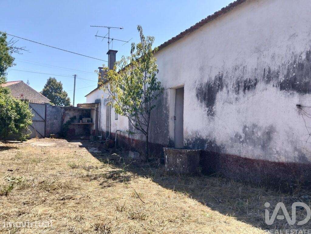 Casa / Villa T2 em Brogueira, Parceiros de Igreja e Alcorochel - Grande imagem: 3/40