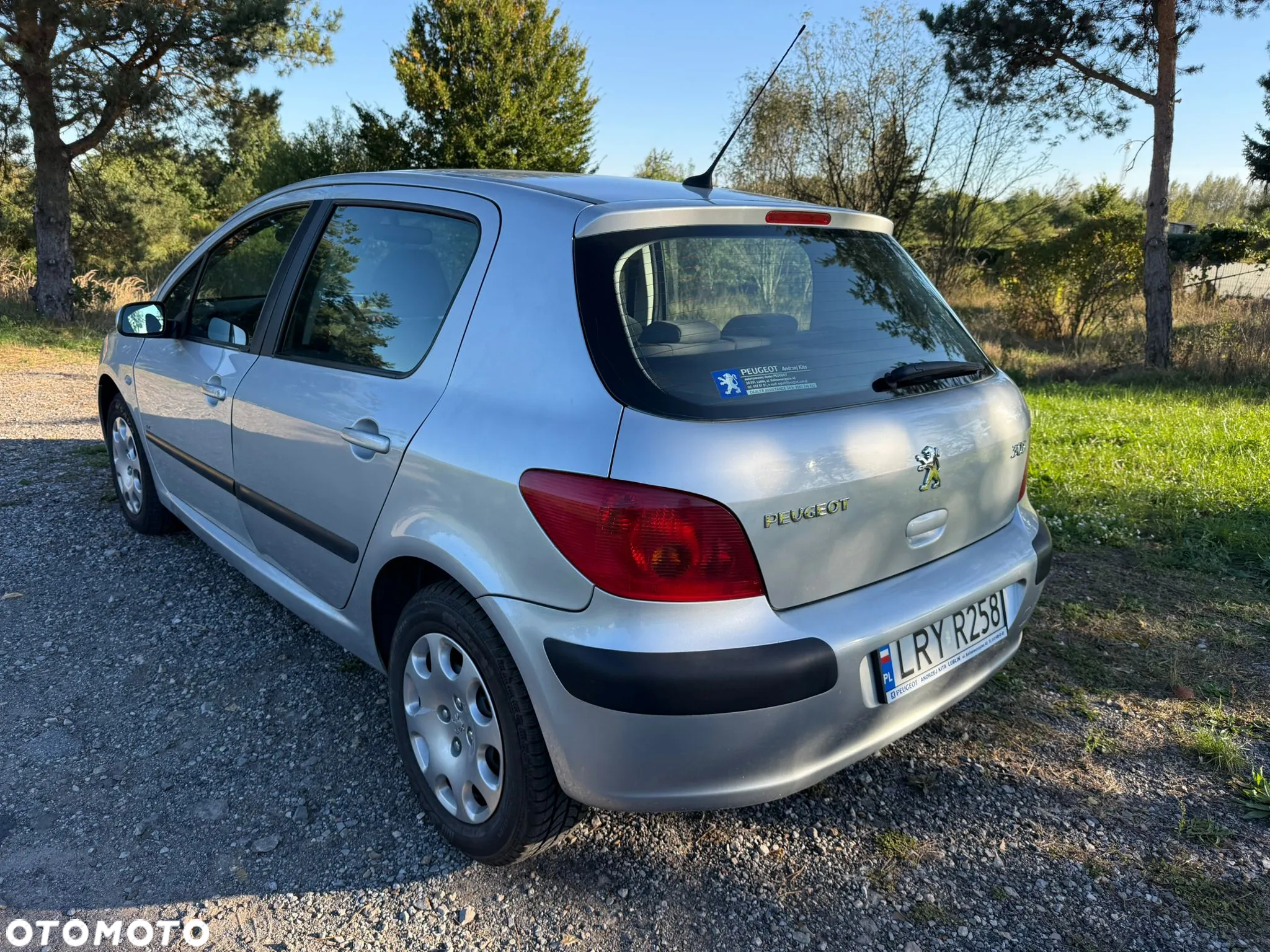 Peugeot 307 1.6 XR - 21