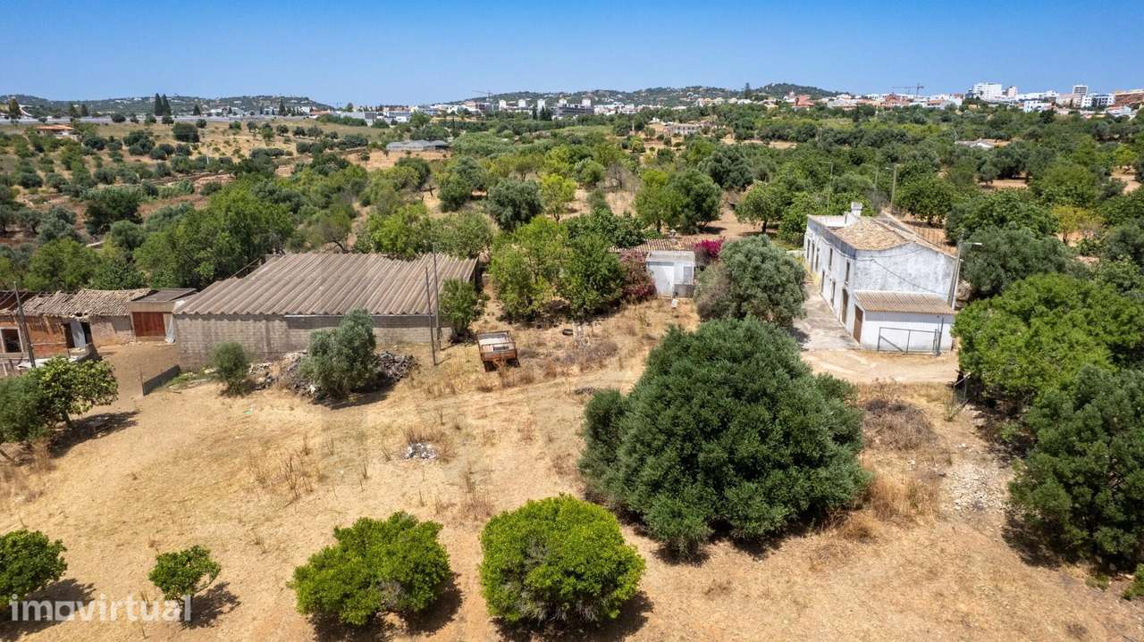 Propriedade Exclusiva de 29827 m2 c/ moradia T2 + Ruína no Sítio do Pa - Grande imagem: 5/42