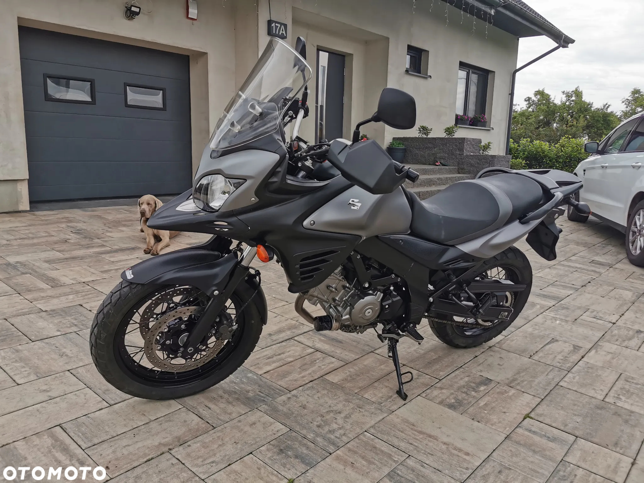 Suzuki DL - 30