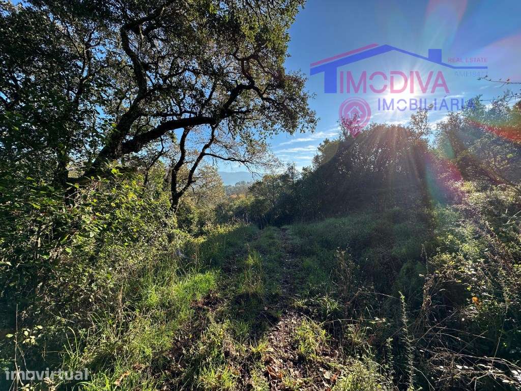 Terreno com 4110m2, com possibilidade de construção, situado atrás ... - Grande imagem: 5/29