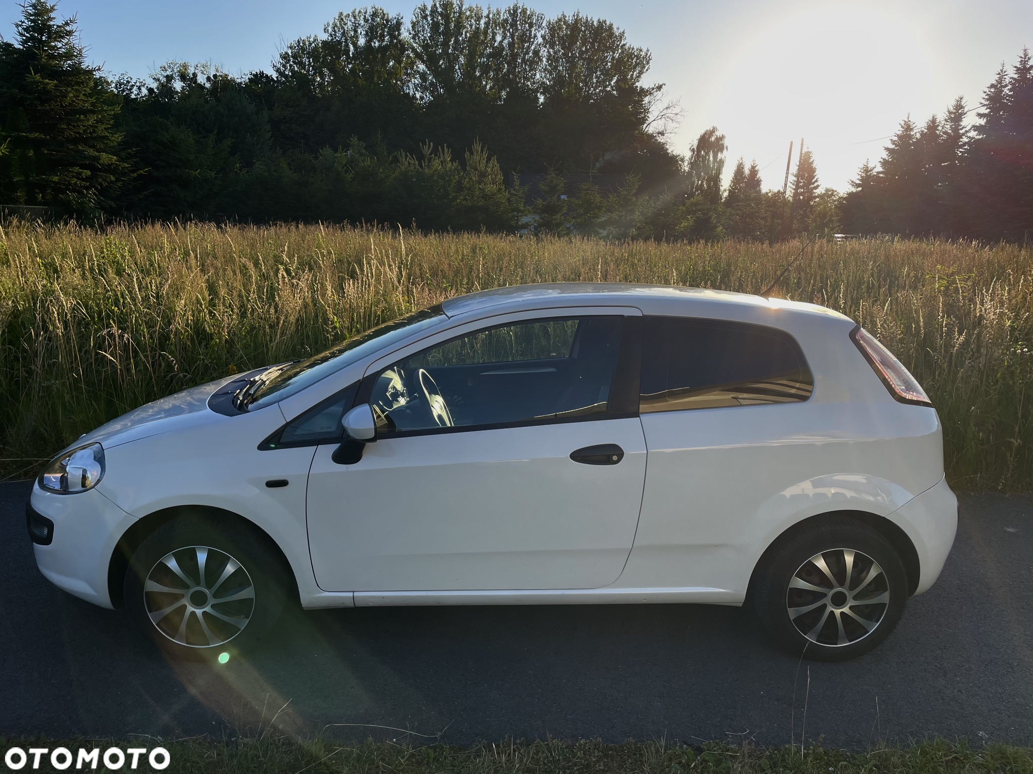 Fiat Punto Evo 1.3 Multijet 16V Active Euro5 - 2