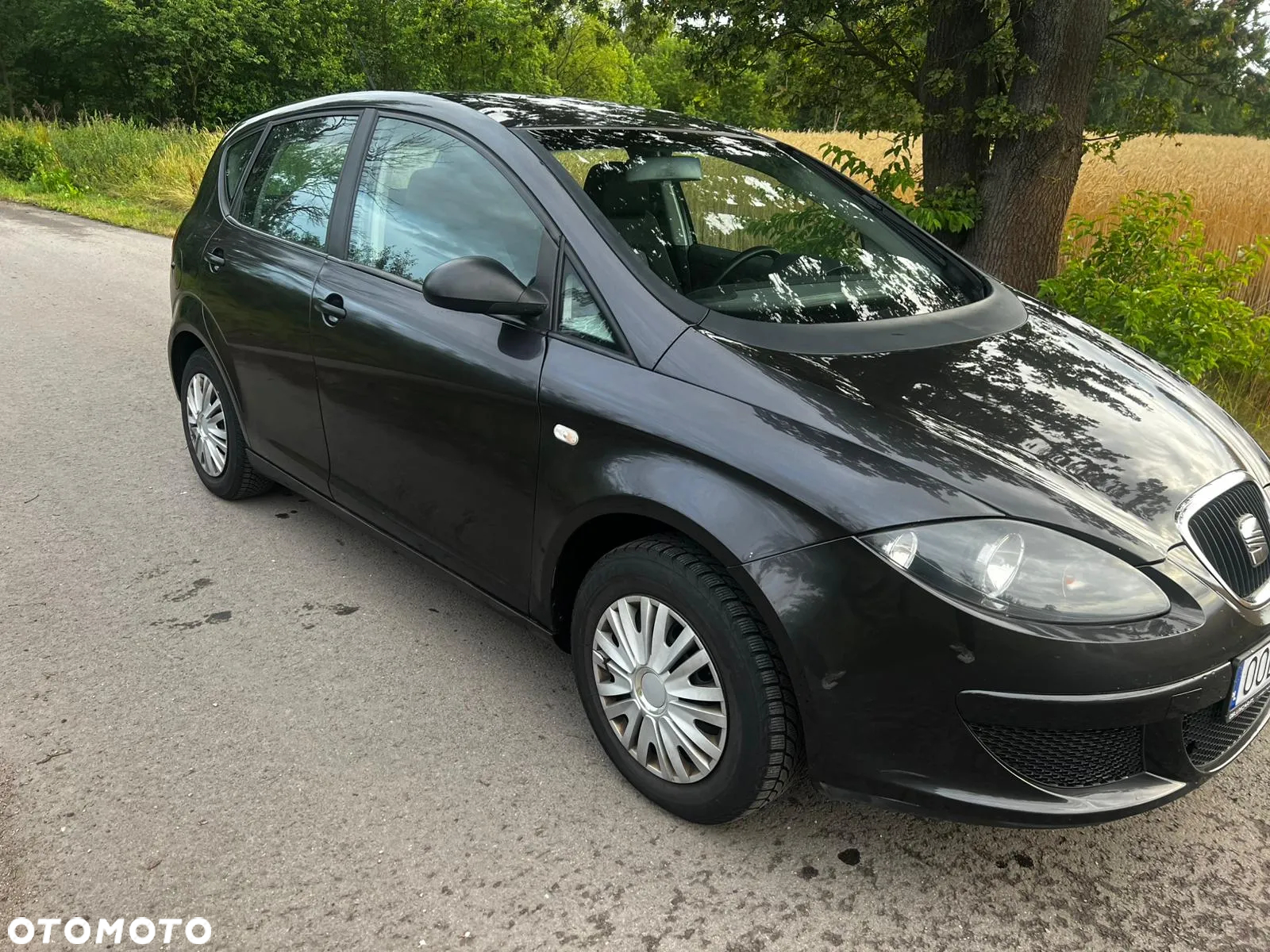 Seat Altea - 4