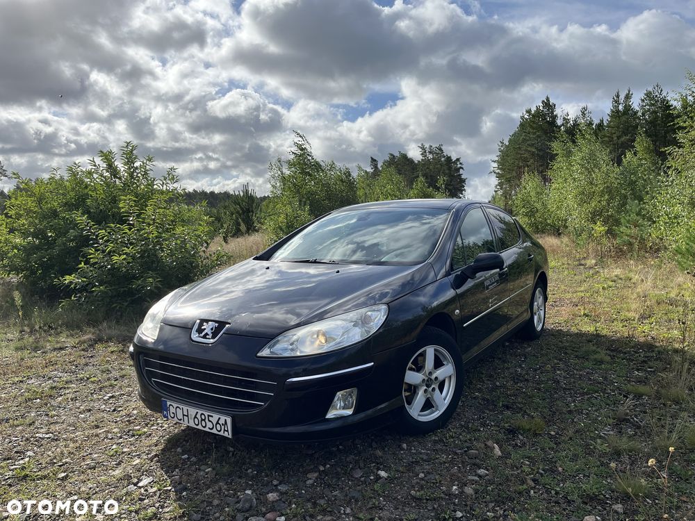 Peugeot 407 - 1