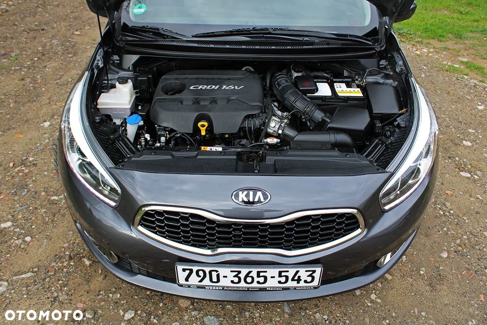 Kia Ceed 1.6 CRDi 128 Fifa World Cup Edition - 38