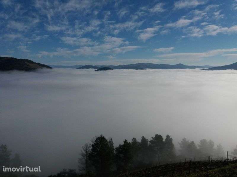 pequena quintinha no  coração do douro - Grande imagem: 5/11