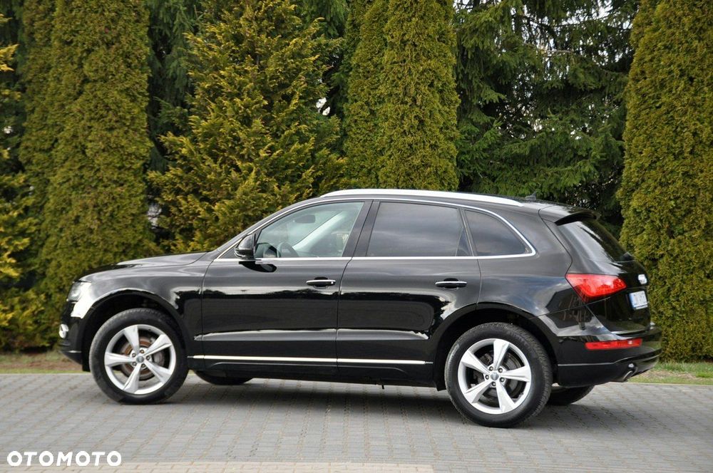 Audi Q5 - 13