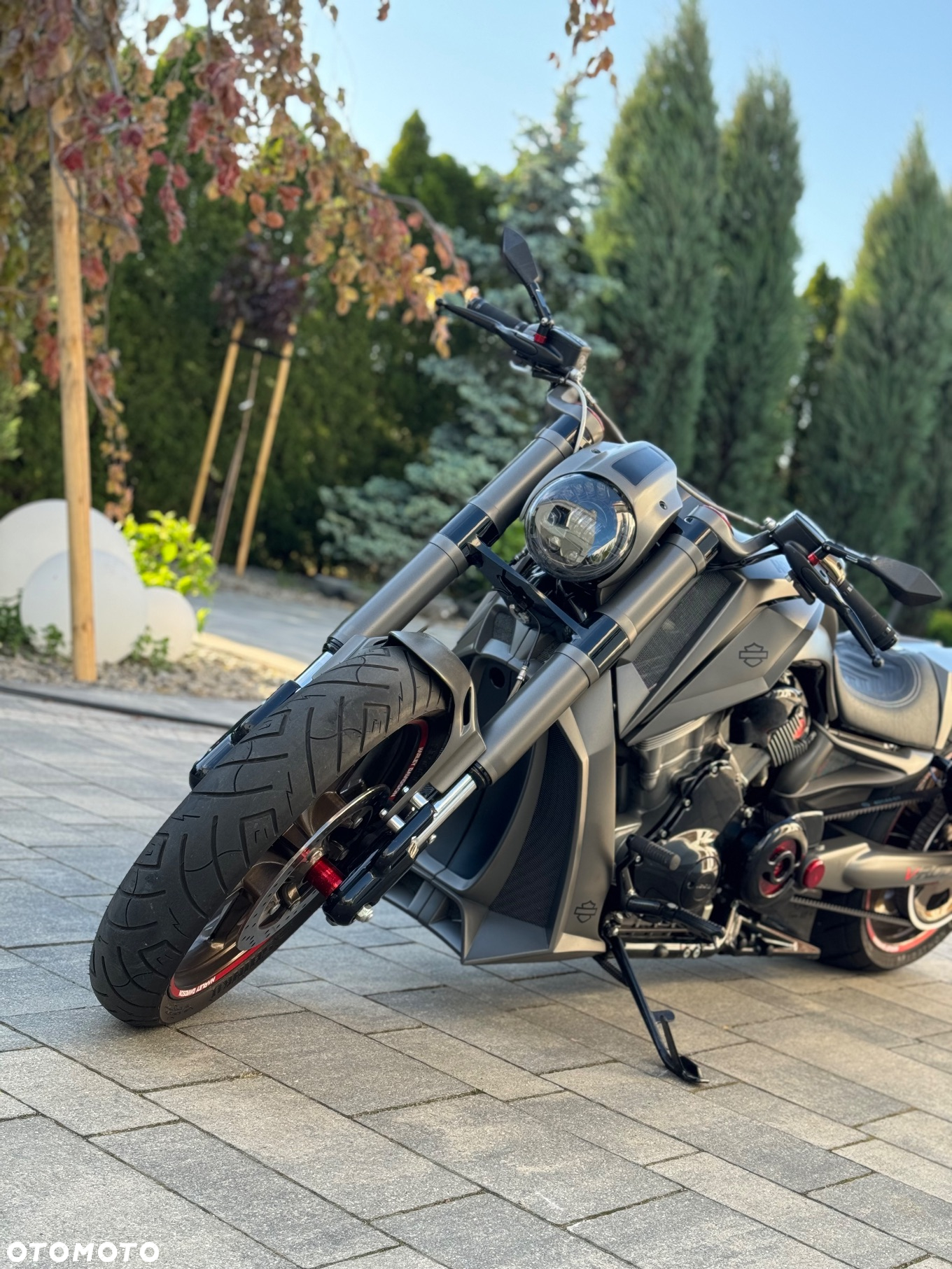Harley-Davidson V-Rod Night Rod - 17
