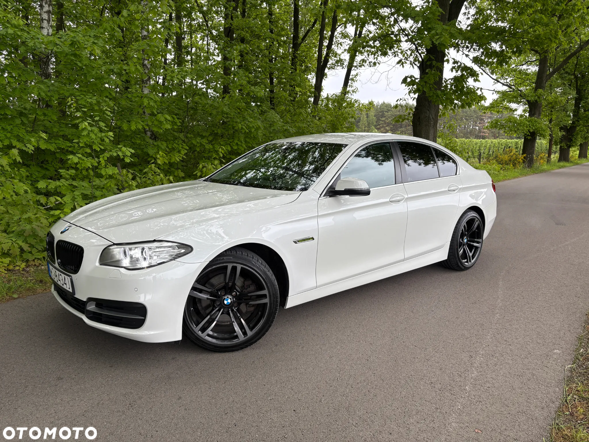 BMW Seria 5 520d - 6