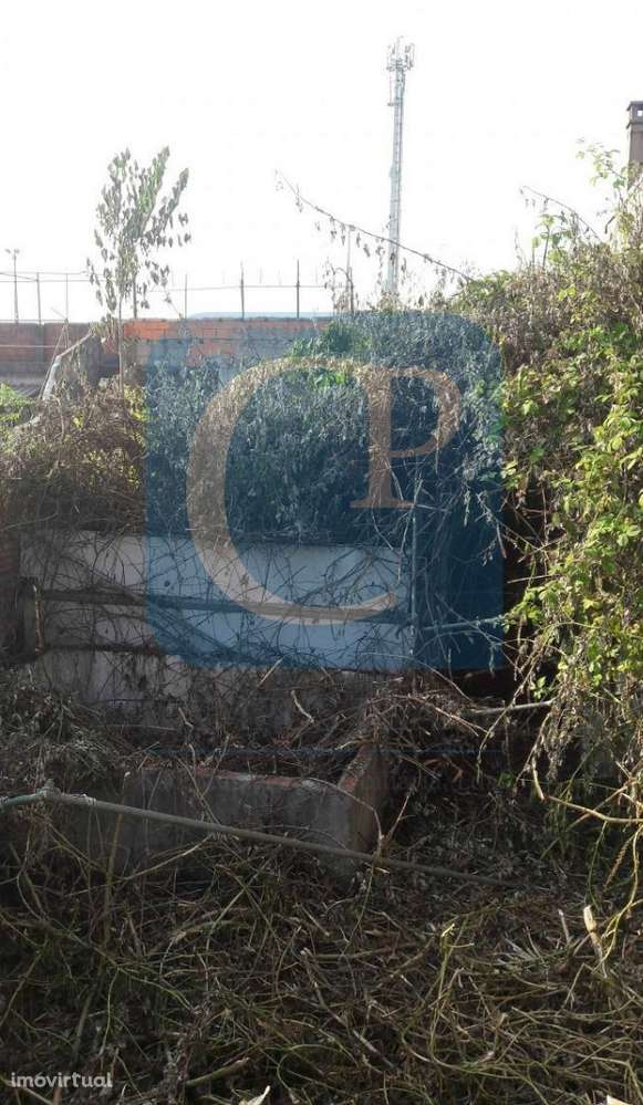 Terreno na Circunvalação, Paranhos - Grande imagem: 3/3