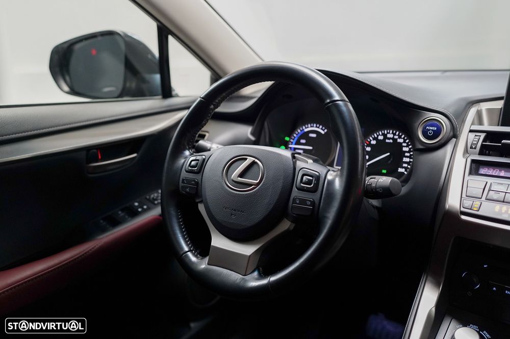 Lexus NX 300h Executive Plus 4WD - 10