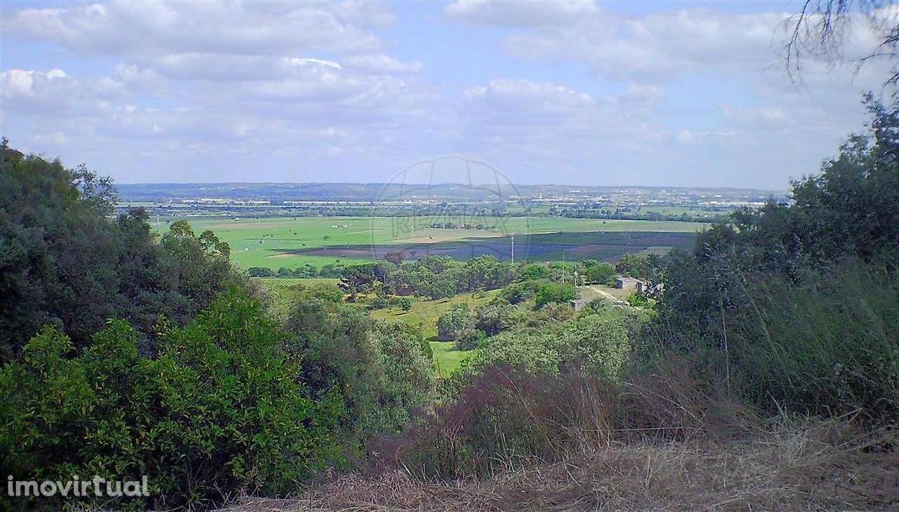 Moradia T2 para venda - Grande imagem: 3/25