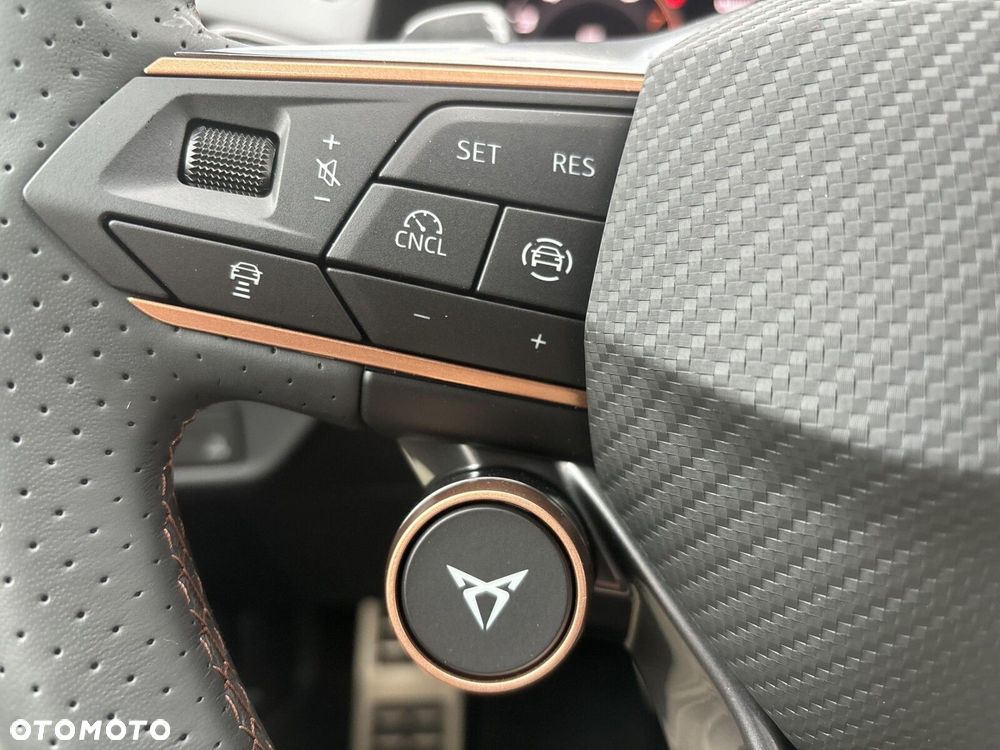 Cupra Terramar 2.0 TSI 4Drive Advantage Edition DSG - 21