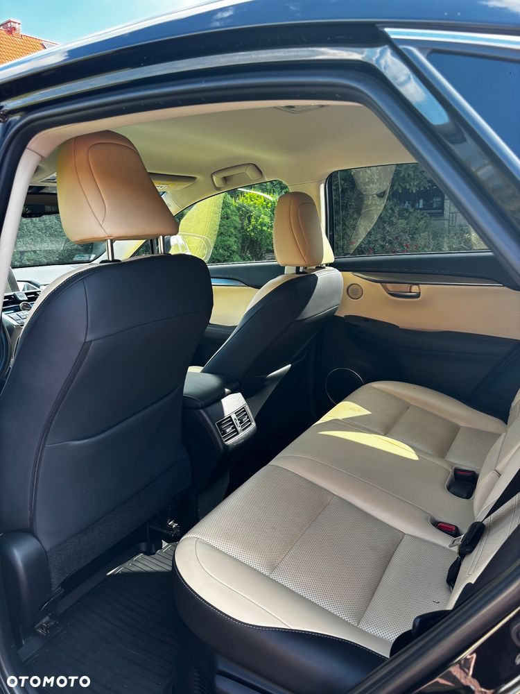 Lexus NX - 6