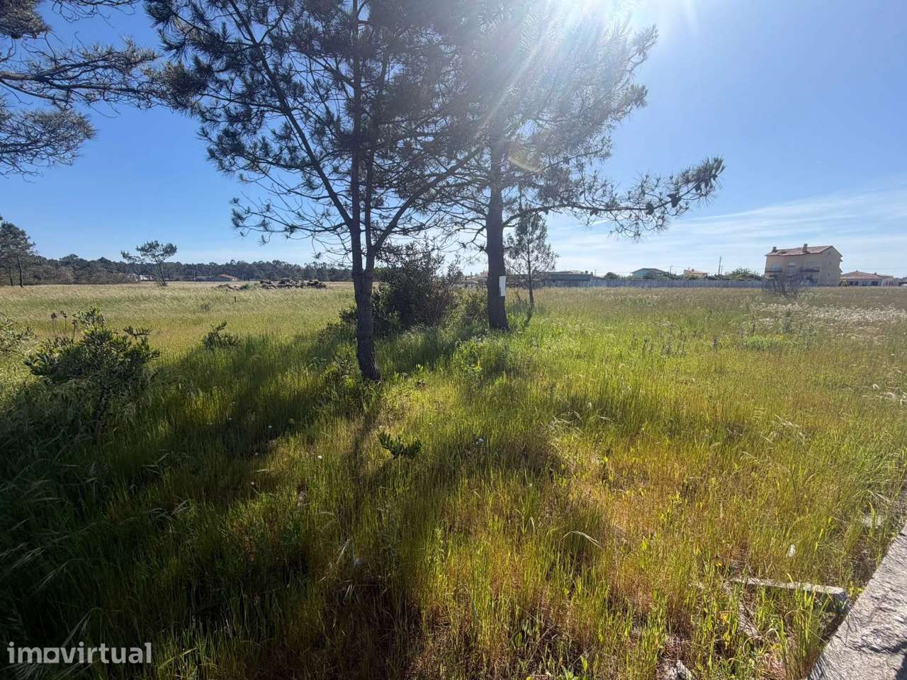 Terreno Urbano de 420 m² na Gafanha do Carmo - Grande imagem: 3/7
