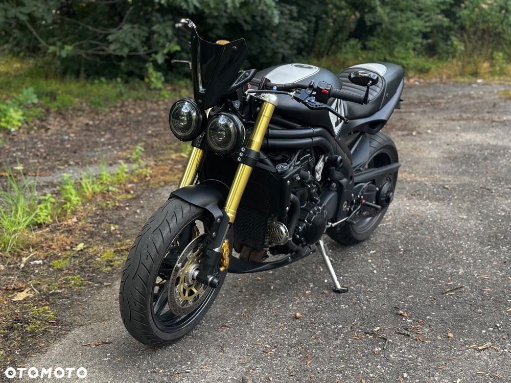 Triumph Speed Triple - 15