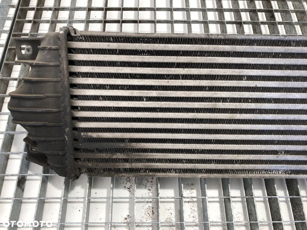 INTERCOOLER  RENAULT MASTER II Autobus (JD) 1998 - 2022 2.5 dCi 100 (JDCV) 73 kW [99 KM] olej - 2