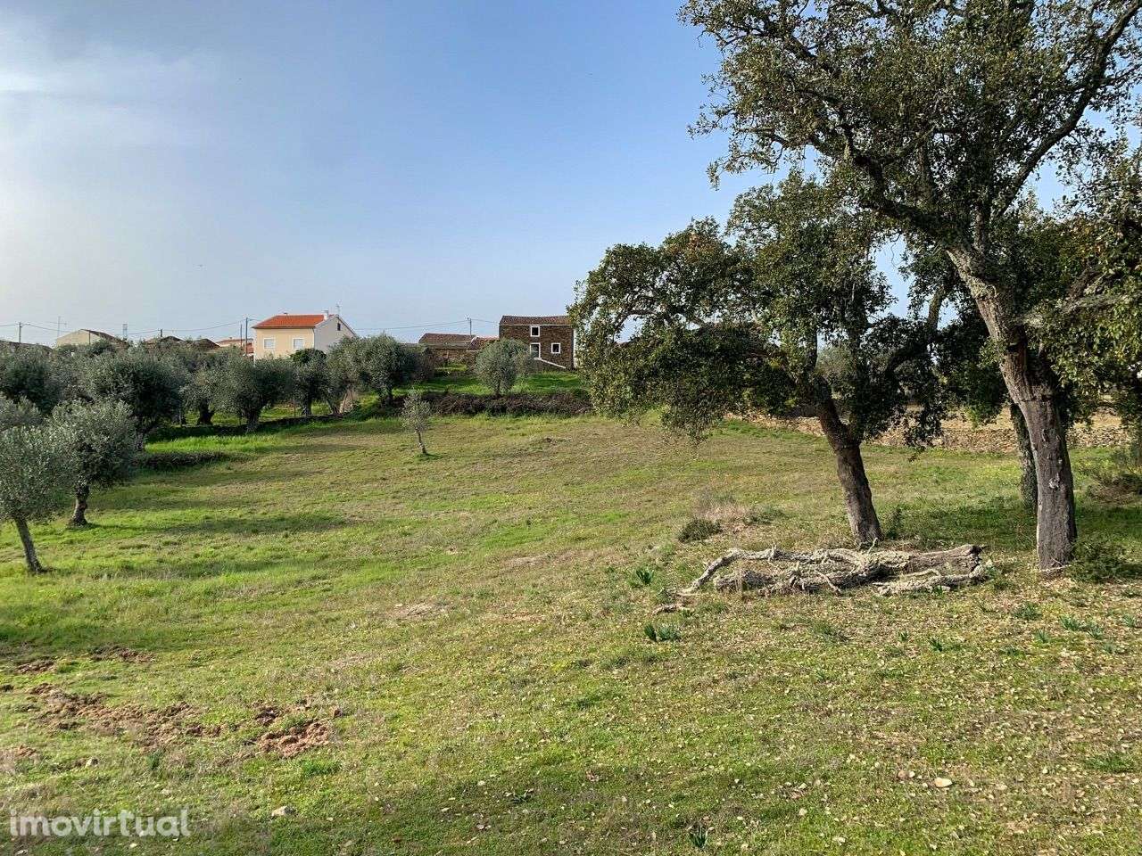 Quintinha com Casas em Xisto - Grande imagem: 3/24